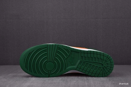 Nike Low DD1391-300 Dunk Hurricanes Miami 1027